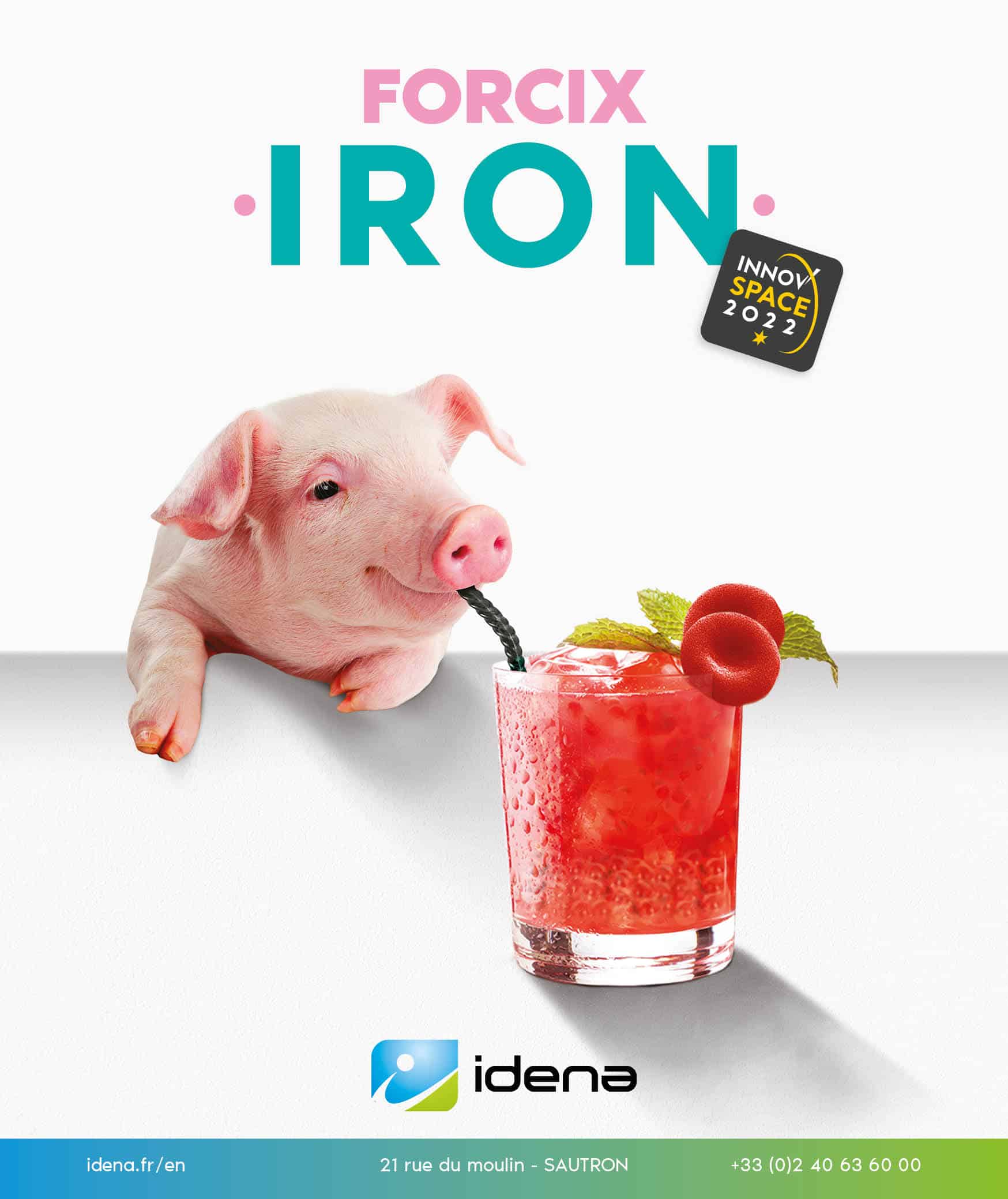 Produit Forcix Iron Idena