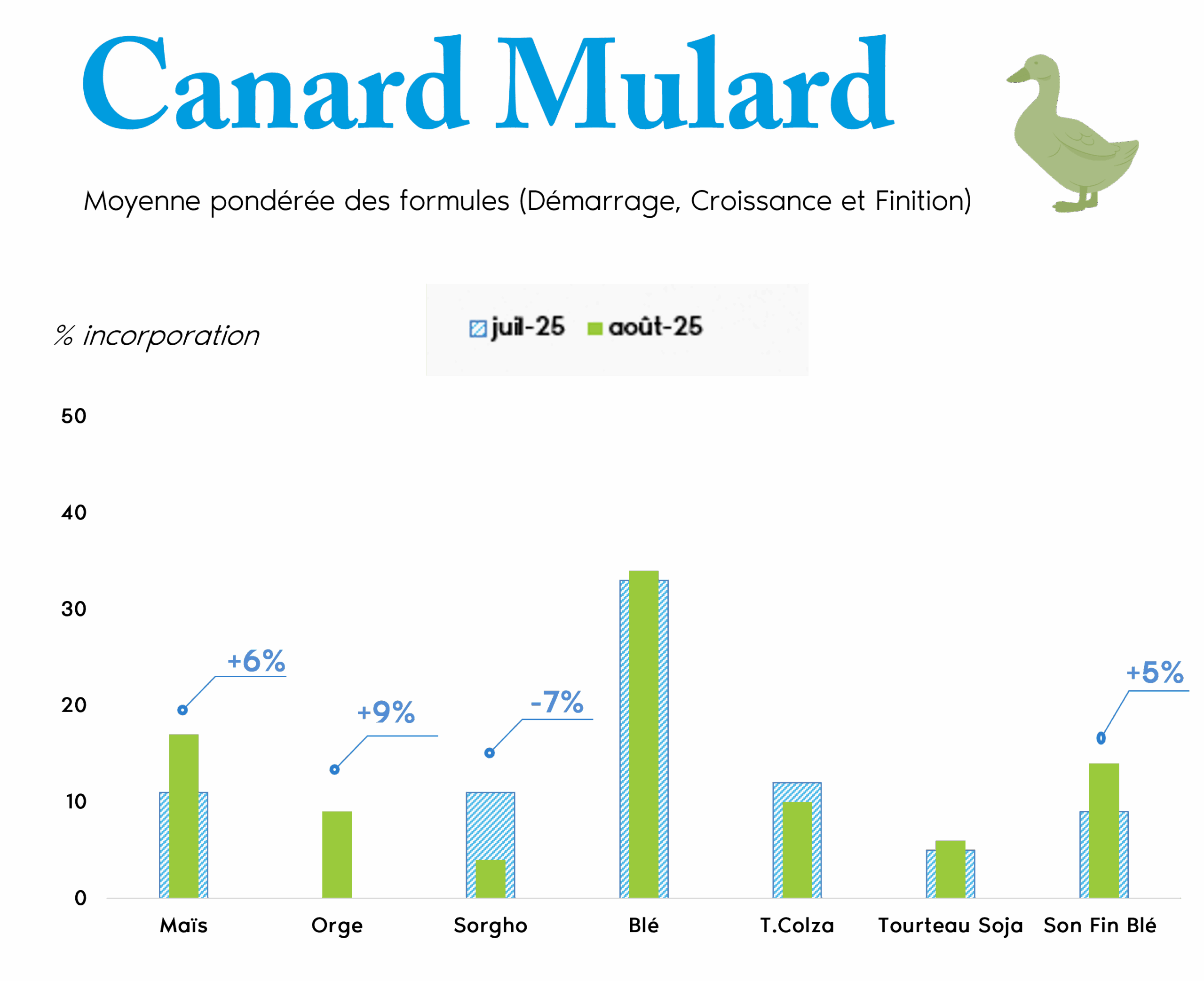 canard