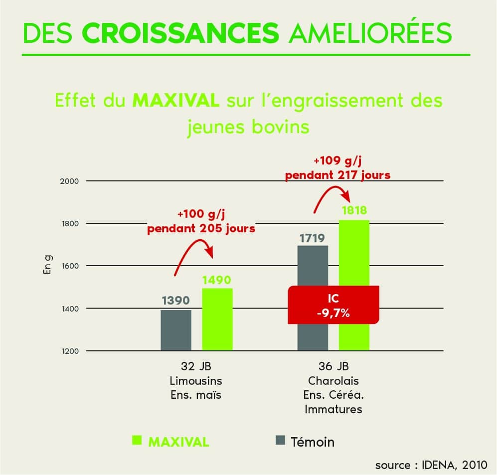Fichier 10