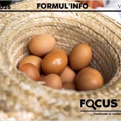 Formul info - Juillet 2025 - IDENA - image de fond avec des œufs dans un chapeau