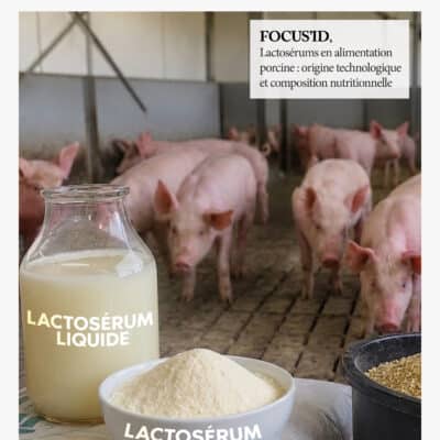 FORMULINFO - IDENA - JUILLET 2026 - AA - COVER