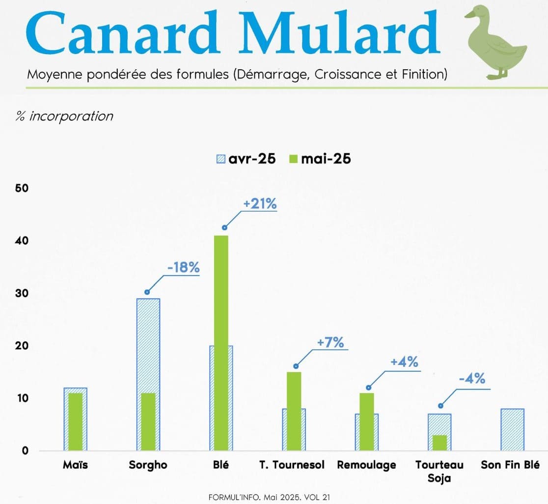 Formul'info_idena_mai_25_canards