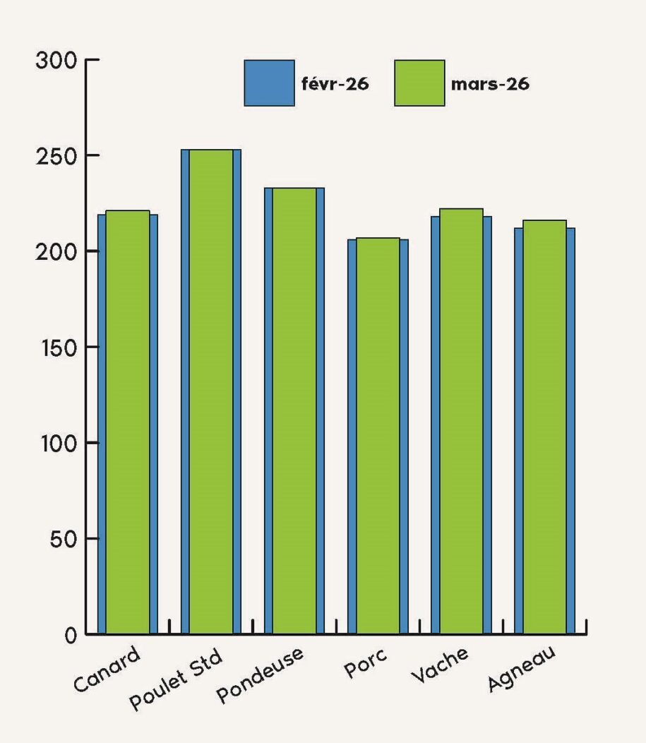 FORMULINFO - IDENA - MARS 2026 - AB_Page_07
