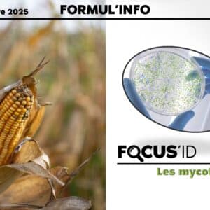 FORMUL'INFO Nov- 25 - V2_Page_01