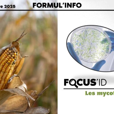 formulinfo-nov-25-v2-page-01-scaled