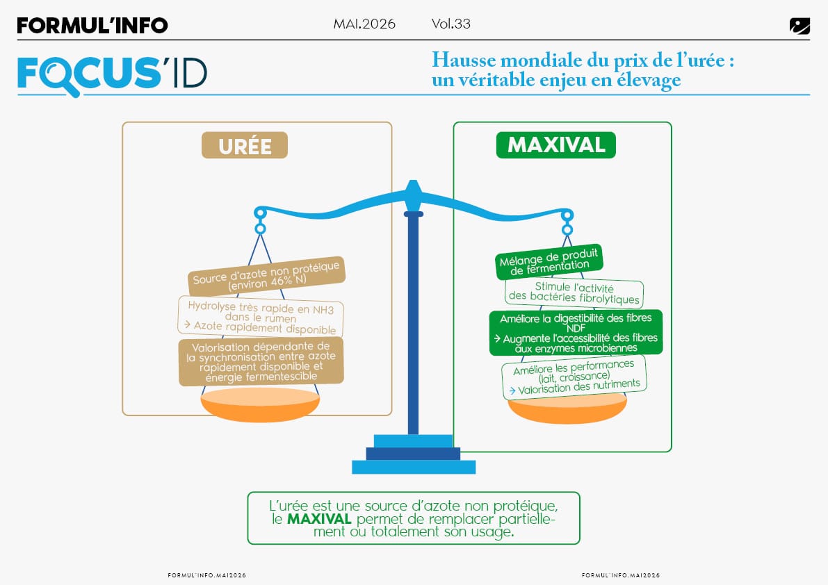 MAXIVAl - UREE
