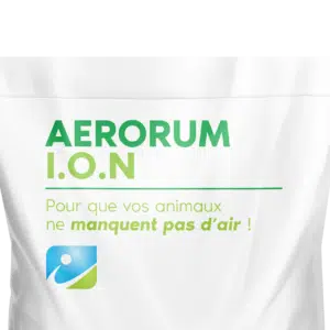 MOCKUP_SAC_AERORUM ION