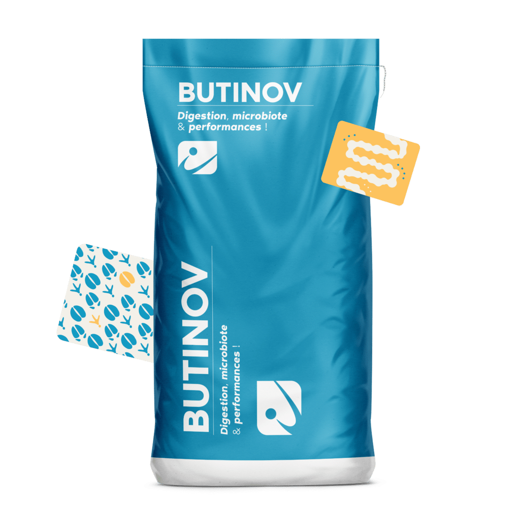 MOCKUP_SAC_BUTINOV_FR