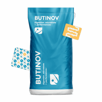 MOCKUP_SAC_BUTINOV_FR