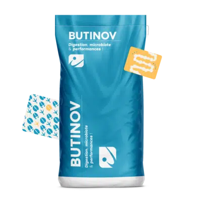 MOCKUP_SAC_BUTINOV_FR