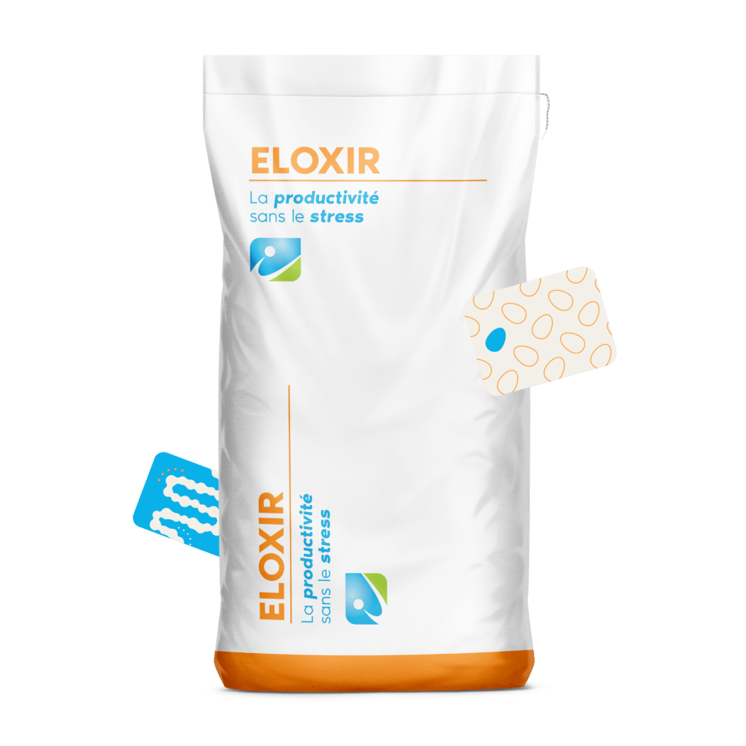 MOCKUP_SAC_ELOXIR_IDENA