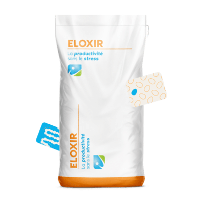 MOCKUP_SAC_ELOXIR_IDENA