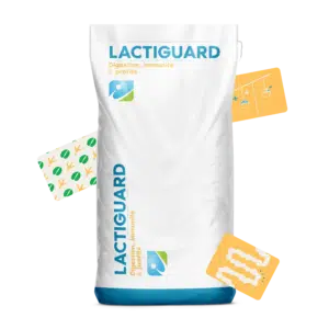MOCKUP_SAC_LACTIGUARD