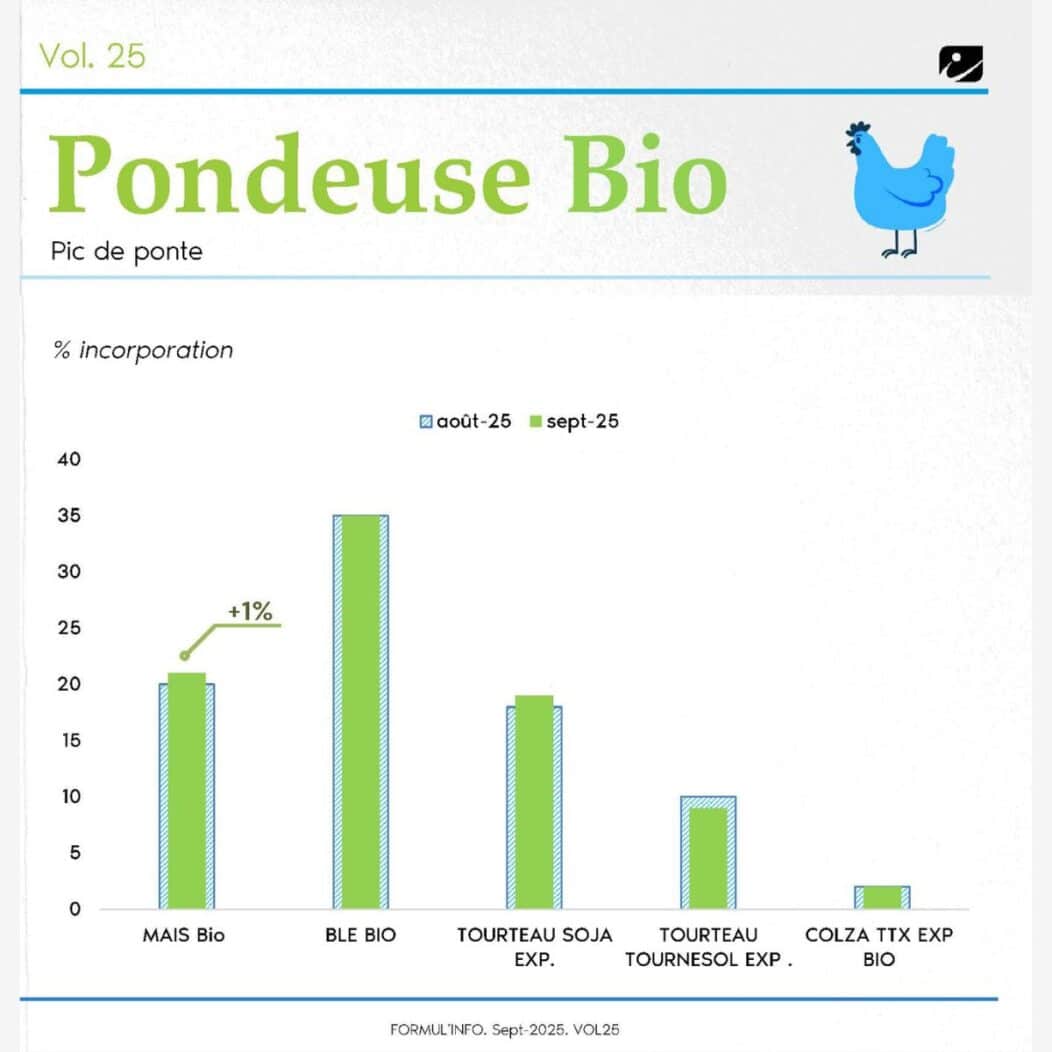 pondeusebio_formulinfo_sept_25
