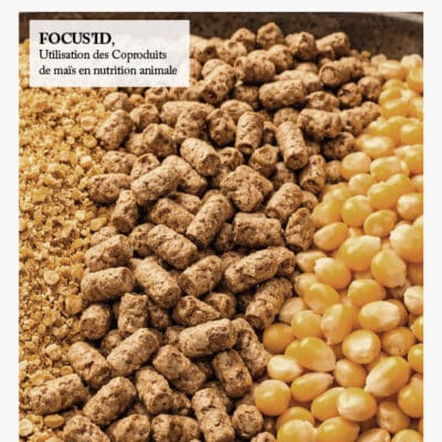 FORMULINFO - IDENA - AVRIL 2026 - PREMIERE_PAGE_JPG